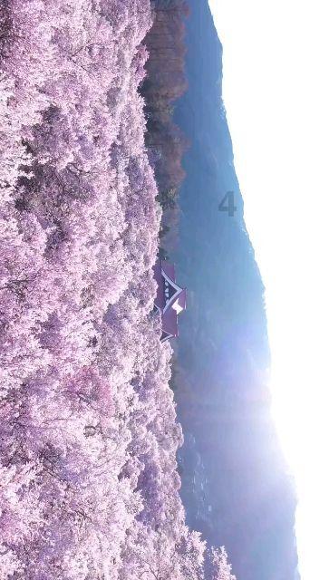 动物帮帮忙保卫家园