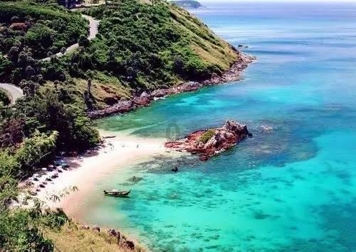 生化危机：浣熊市行动