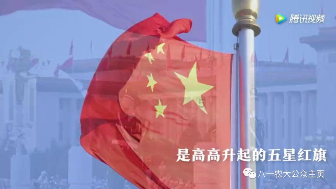 救援快乐的兔子