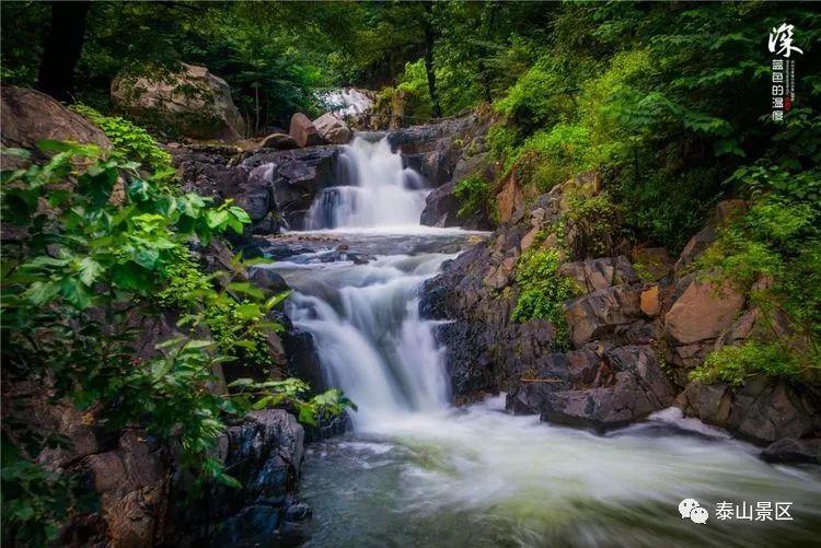 春雨直播app