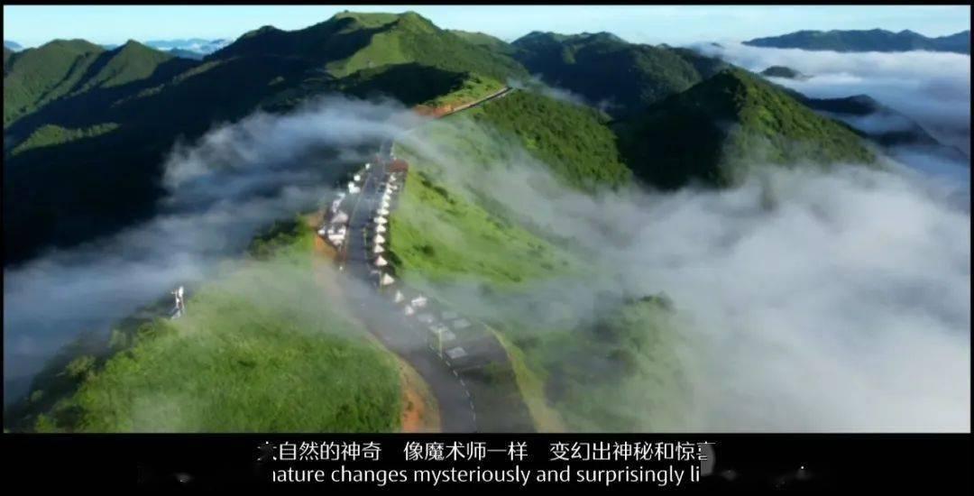 帮南京文旅上分！腊八粥之外尝尝这种更具南京特色的粥