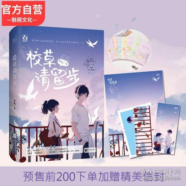 公主设计师大赛