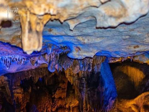 中原突围算成功吗?皮旅、鄂东独2旅,才是藏在突围中的英雄部队